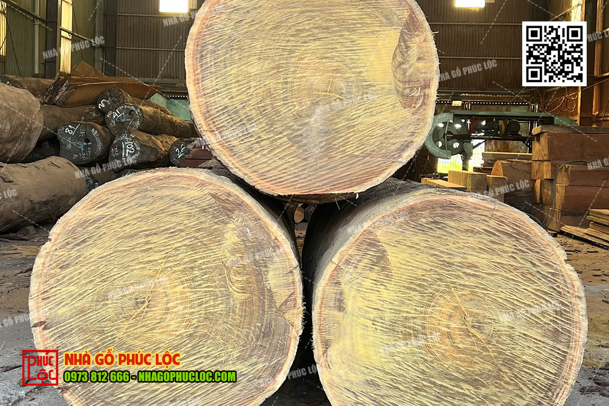 Chọn gỗ làm nhà 