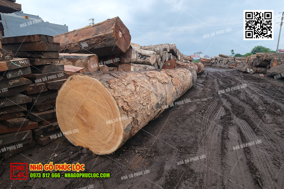 Chọn gỗ làm nhà 