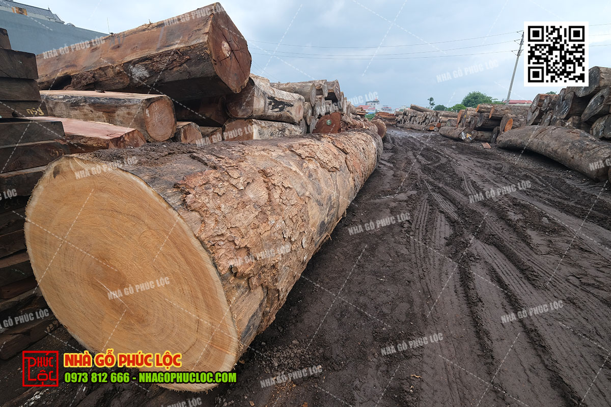 Nha-go-3-gian-gia-cao-3